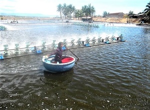 Nuôi thủy sản an toàn sinh học