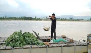 Phát triển vùng sản xuất VietGAP đáp ứng yều cầu thị trường xuất khẩu