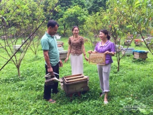 Chăn nuôi theo tiêu chuẩn VietGAP: Hướng phát triển bền vững