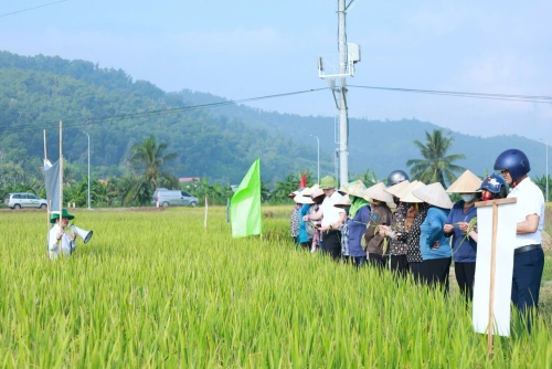 Hải Phòng: Đưa sản xuất an toàn đến gần hơn với người dân