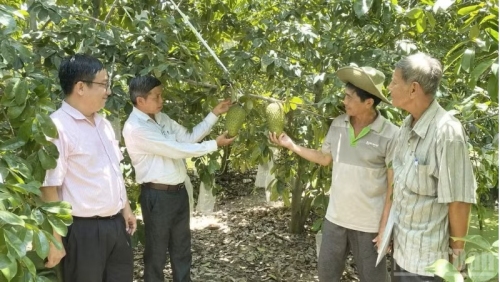 Nâng cao chất lượng nông sản đáp ứng yêu cầu thị trường tỷ dân