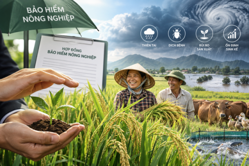 Tăng mức hỗ trợ phí bảo hiểm cho người sản xuất nông nghiệp