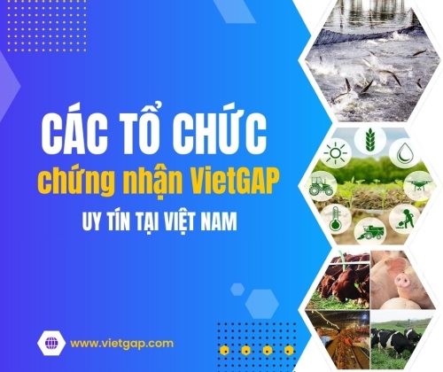 Danh sách các tổ chức chứng nhận VietGAP uy tín tại Việt Nam