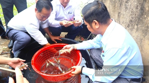 2 Hà Tĩnh lần đầu có cơ sở nuôi tôm càng xanh đạt chuẩn VietGAP, thu gần 170 triệu đồng ha vụ
