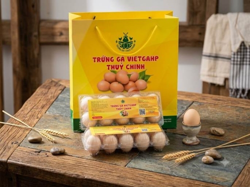 Từ trang trại VietGAP đến sản phẩm trứng gà OCOP 3 sao