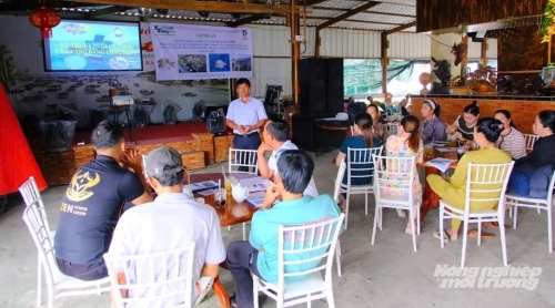 An Giang: Tập huấn kỹ thuật nuôi cá chim vây vàng bằng lồng HDPE đạt chuẩn VietGAP