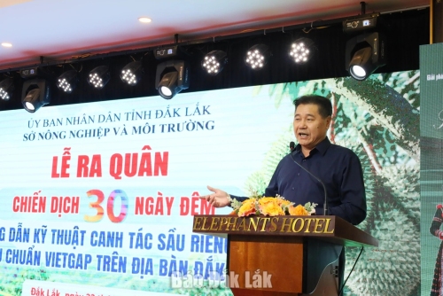 Ra quân chiến dịch 30 ngày đêm hướng dẫn kỹ thuật canh tác sầu riêng theo tiêu chuẩn VietGAP