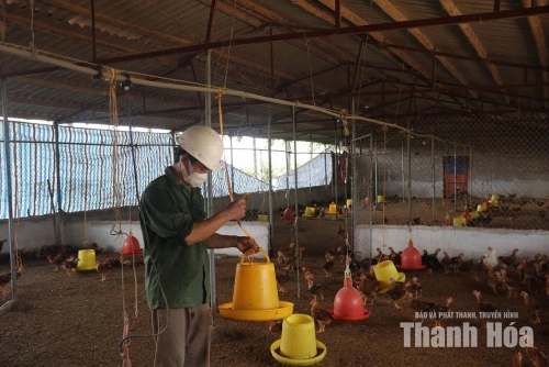 Thanh Hóa: “Gỡ khó” trong chăn nuôi theo tiêu chuẩn VietGAP