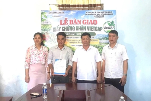 Sản phẩm cà phê Ia Phí đạt chứng nhận VietGAP