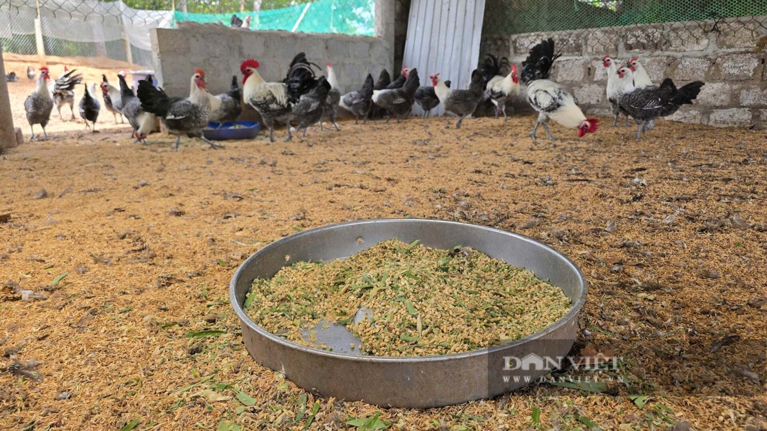 Nhà khoa học của nhà nông ở Quảng Trị được bình chọn là Nông dân Việt Nam xuất sắc 40 năm Đổi mới ảnh 5