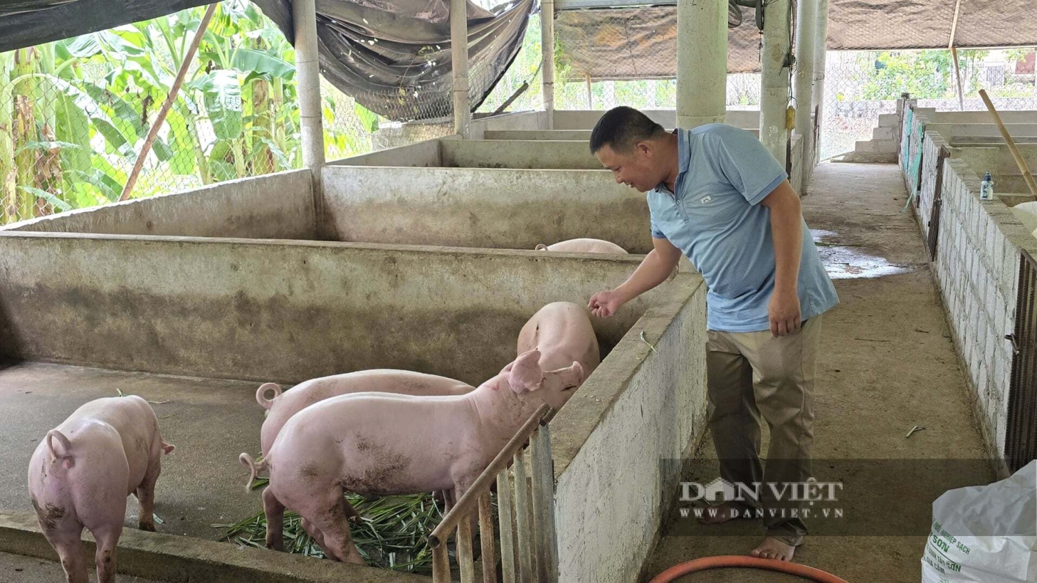 Nhà khoa học của nhà nông ở Quảng Trị được bình chọn là Nông dân Việt Nam xuất sắc 40 năm Đổi mới