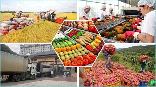 Phòng thí nghiêm đạt chuẩn Tấm hộ chiếu để nông sản Việt vươn xa