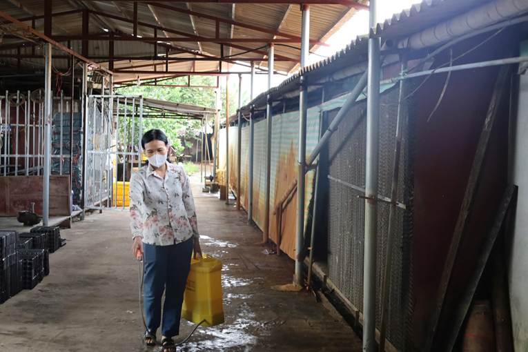 1 Từ trang trại VietGAP đến sản phẩm trứng gà OCOP 3 sao