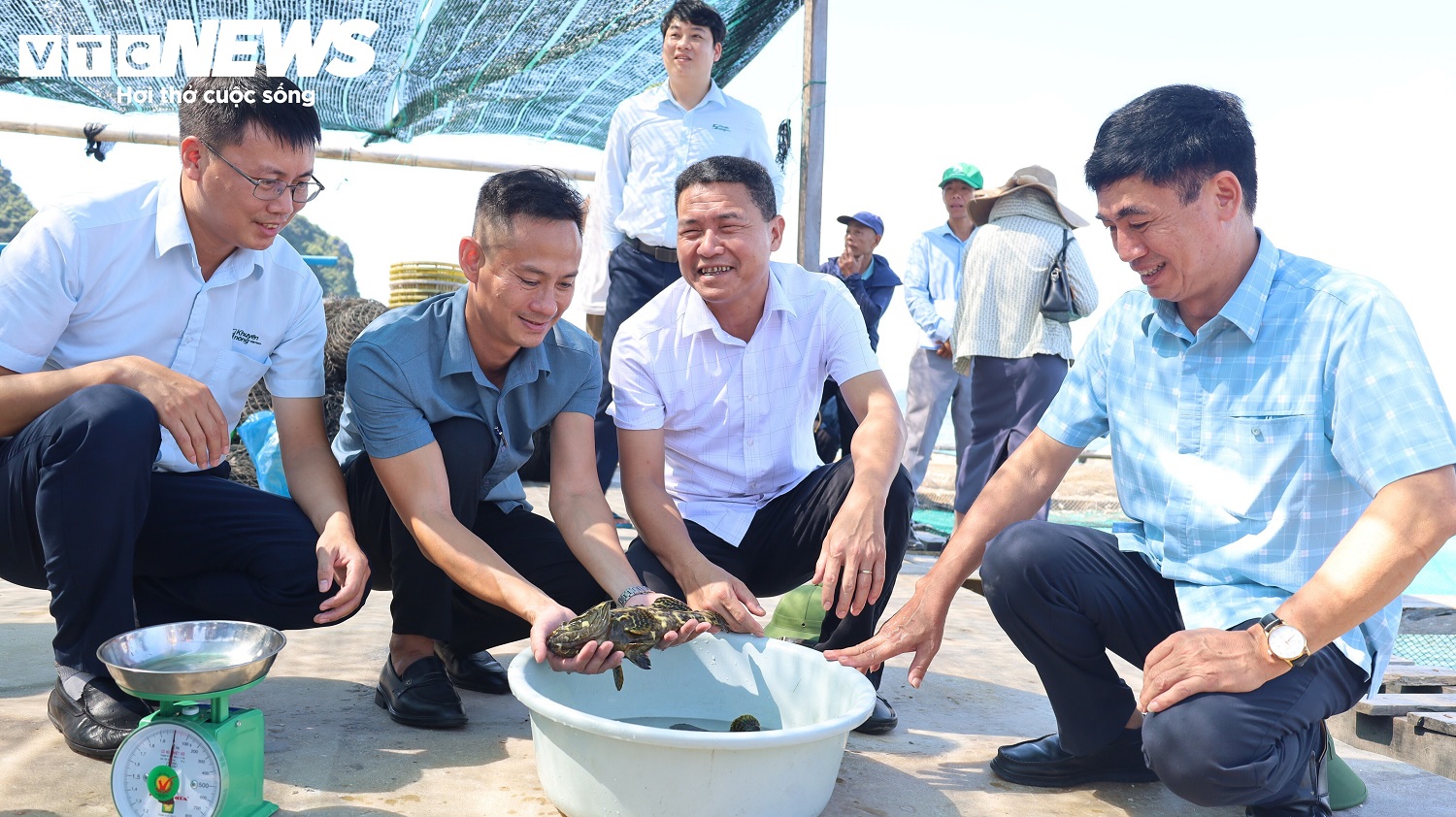 2 Từ con giống đến đầu ra, cá song được nuôi theo quy trình VietGAP