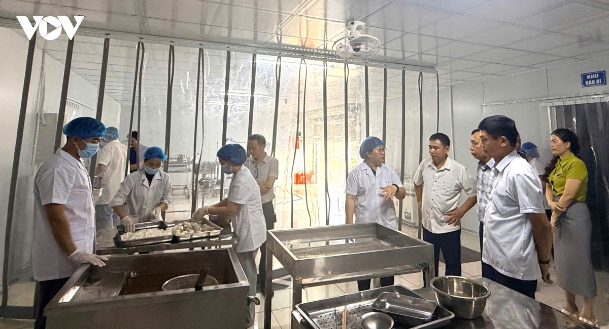 3 Khuyến nông Quốc gia hỗ trợ nuôi biển và chế biến thủy sản ở Vân Đồn