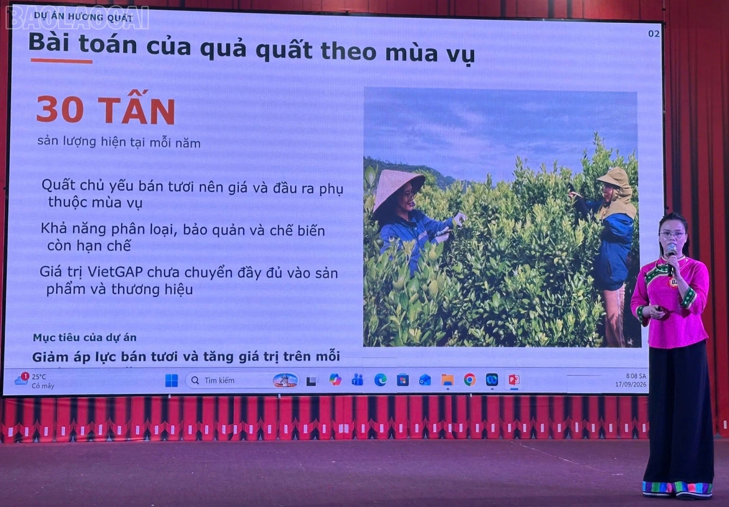 4 Khi quất VietGAP bước vào sân chơi OCOP