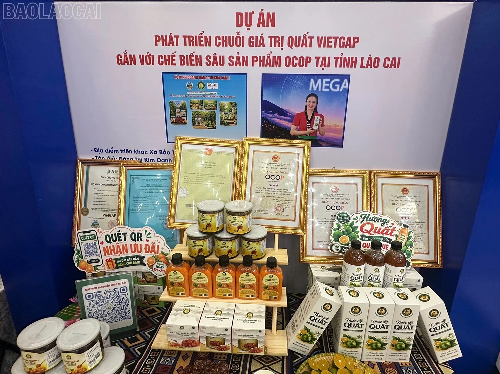 6 Khi quất VietGAP bước vào sân chơi OCOP