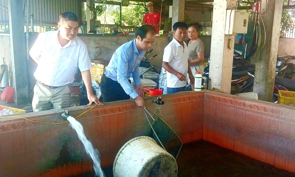 anh 1bac ninh ung dung cong nghe cao san xuat giong thuy san mo hinh san xuat