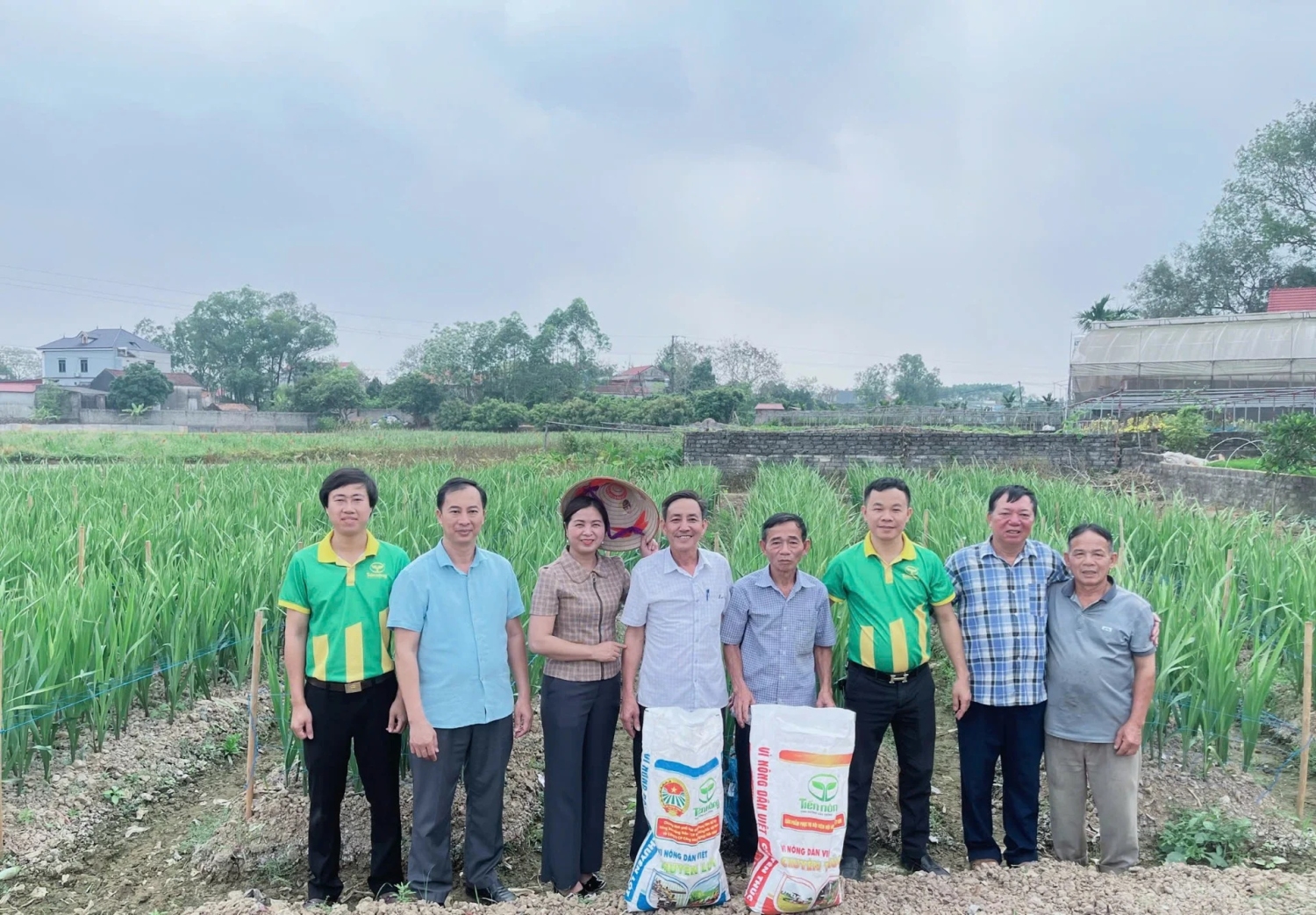 Ảnh 2 Nông dân phường Kép ở Bắc Ninh làm giàu từ dứa VietGAP