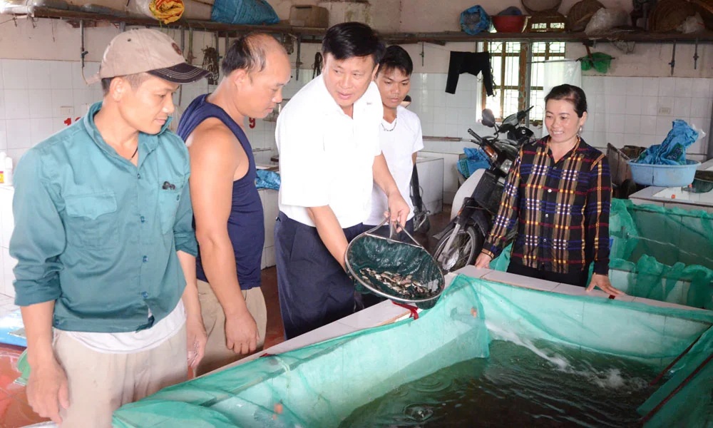 anh 2bac ninh ung dung cong nghe cao san xuat giong thuy san