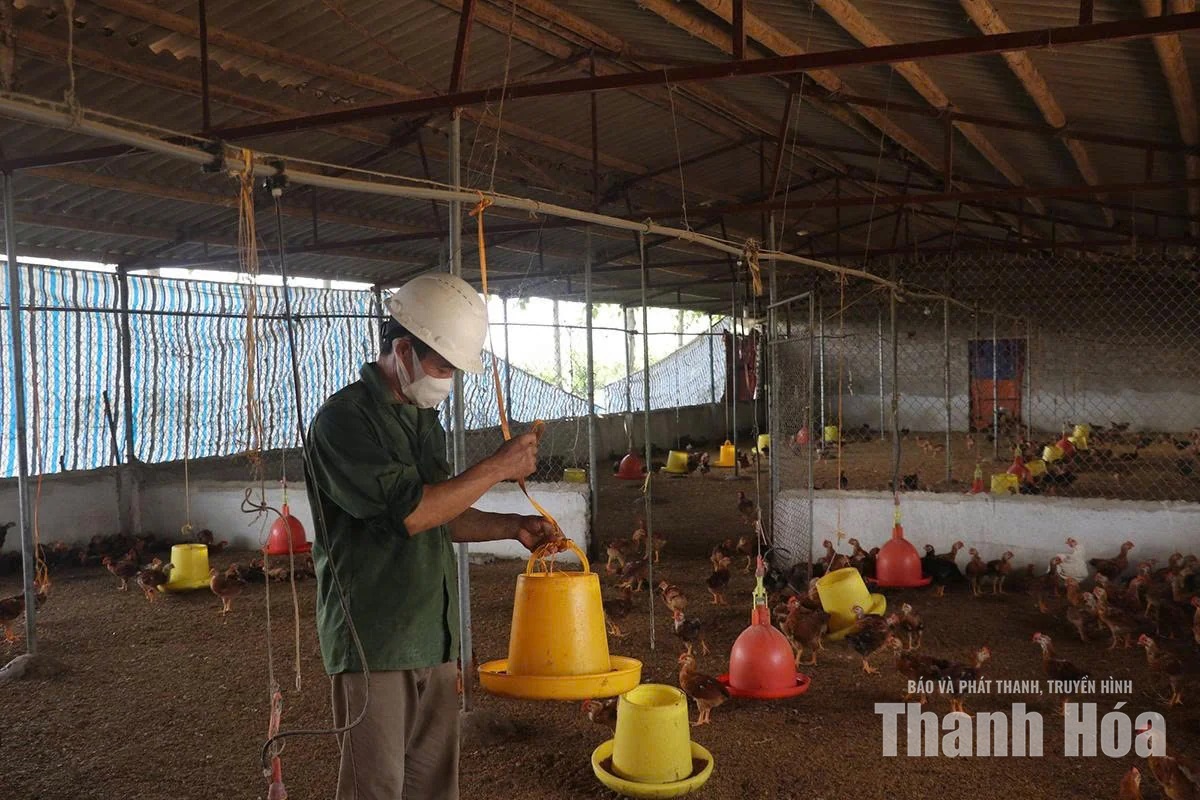Gỡ khó trong chăn nuôi theo tiêu chuẩn VietGAP jpge