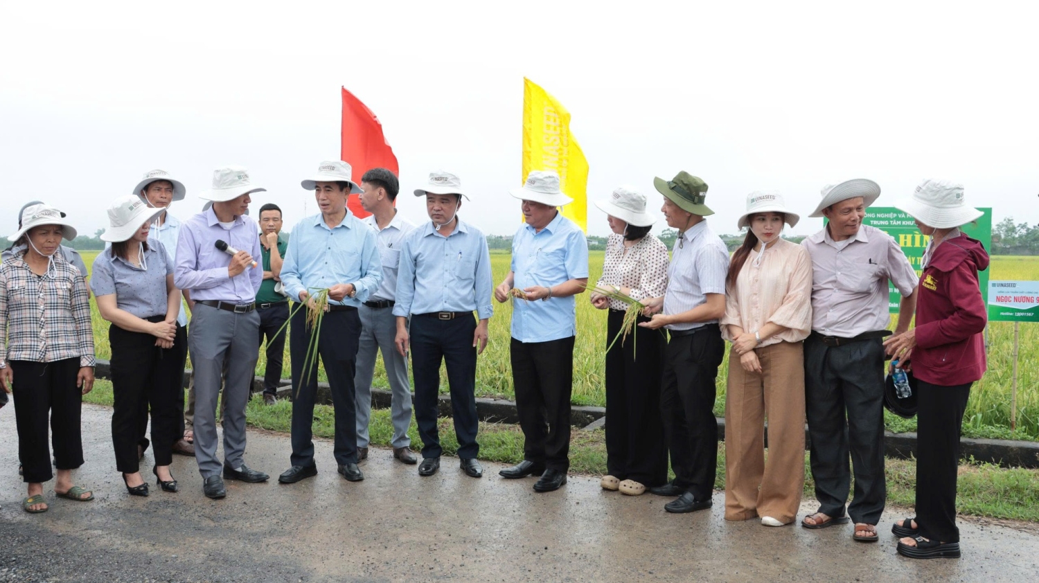 Phát triển lúa VietGAP gắn bao tiêu sản phẩm Hướng đi bền vững cho nông nghiệp Thủ đô